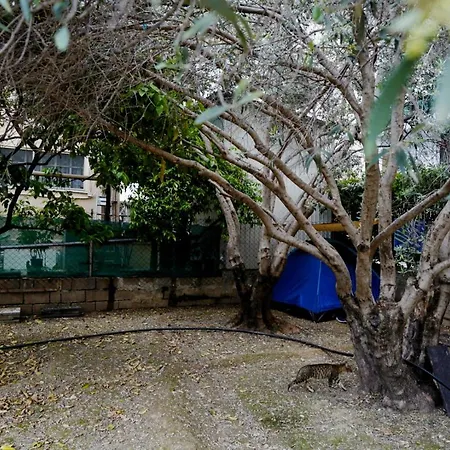 旅馆 Garden House 利马索尔