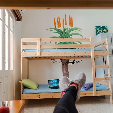 Garden House 利马索尔