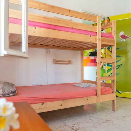 Garden House * 利马索尔