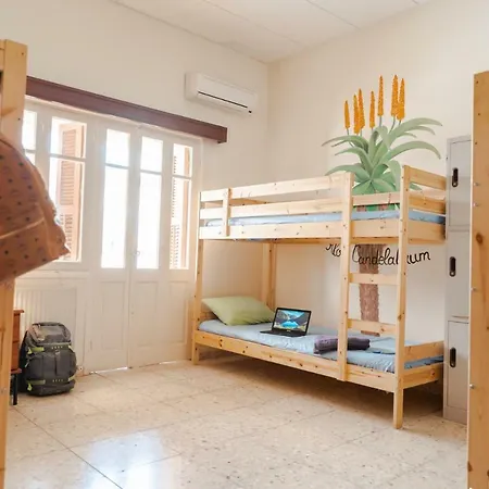 Hostel Garden House *